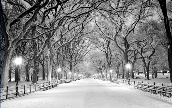 雪天风景黑白摄影图片