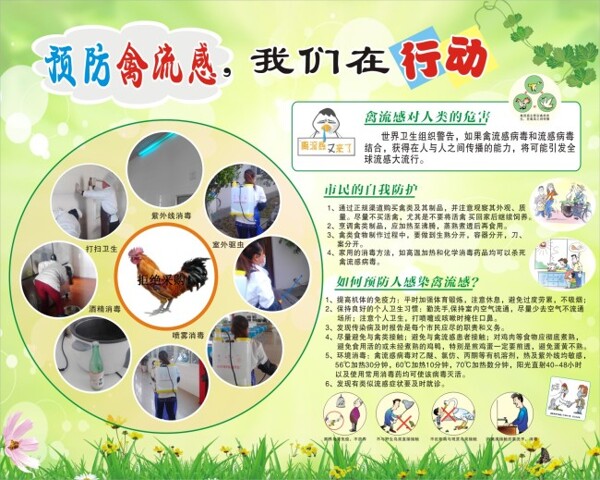 CDRX4预防H7N9禽流感病毒展板