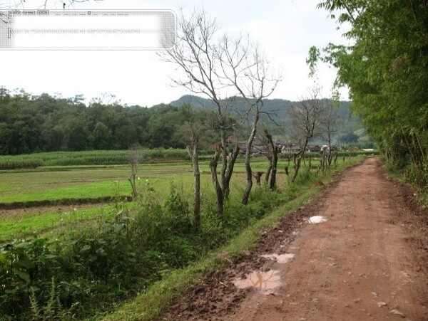 乡间道路