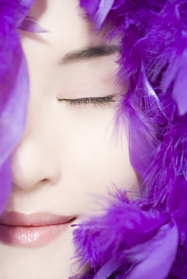 紫色羽毛包裹美女面部特写图片