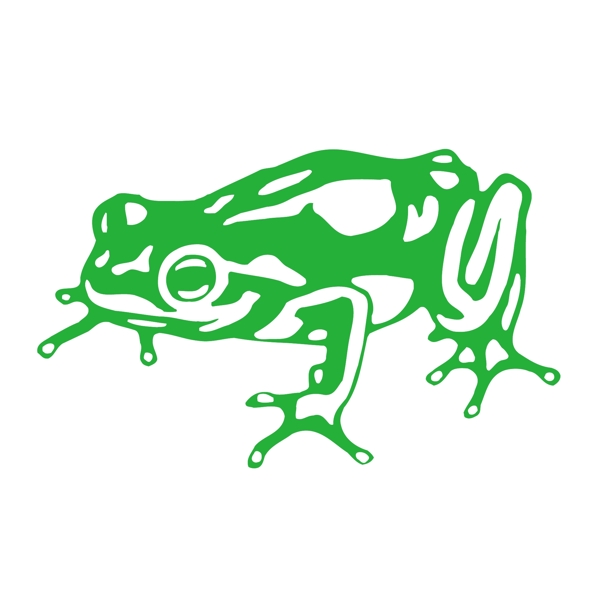 青蛙的设计