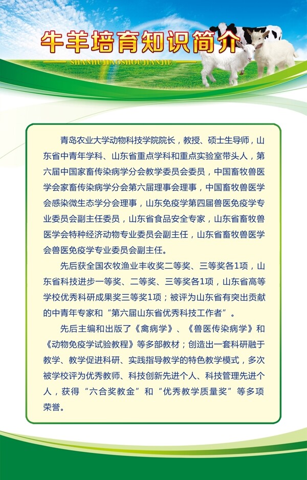 展板设计模板牛羊图片