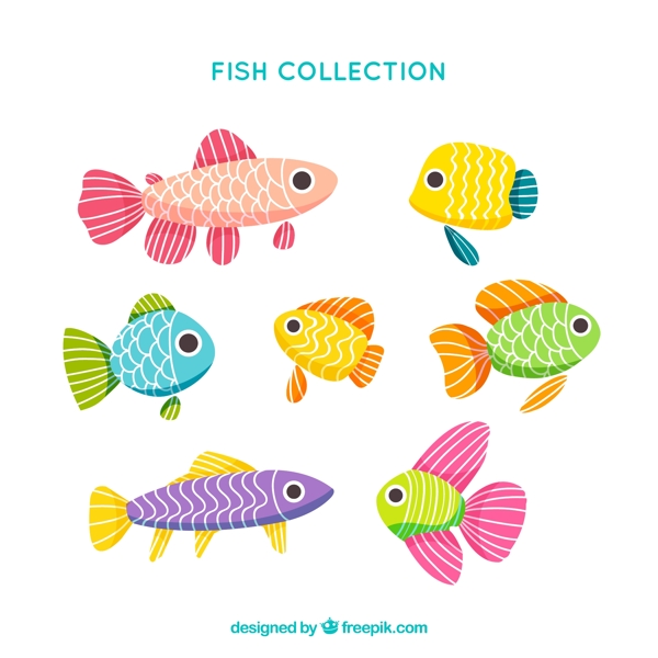 7款彩色花纹鱼类设计矢量图