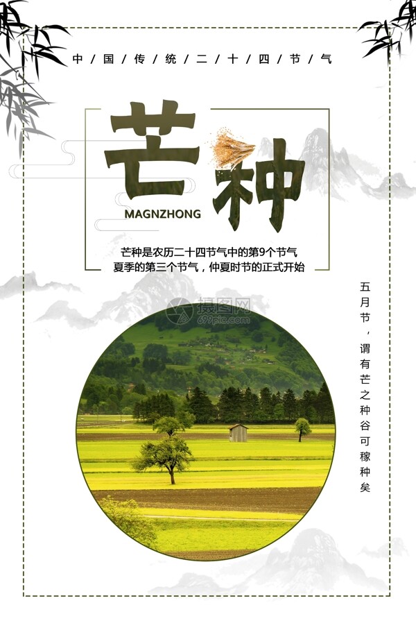 芒种二十四气节中国传统海报