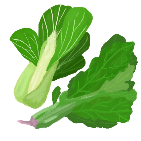 手绘绿色菠菜油菜元素