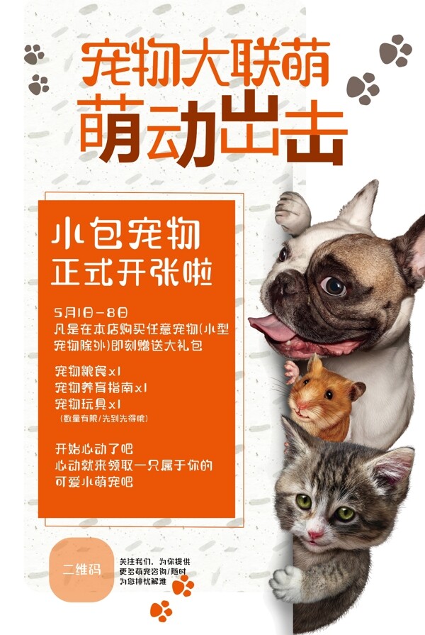 简约宠物促销优惠海报