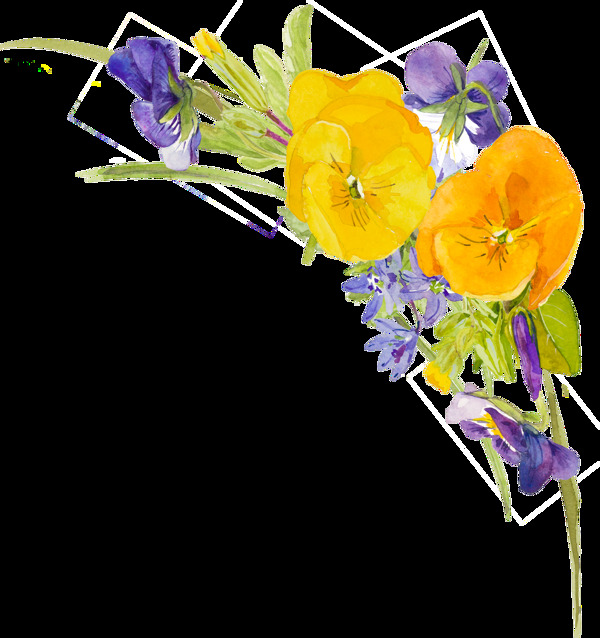 黄色花朵植物水彩手绘透明素材