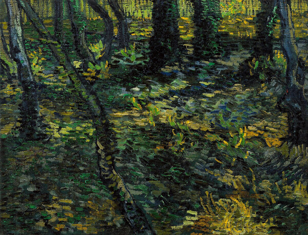 梵高树林风景油画写生图片