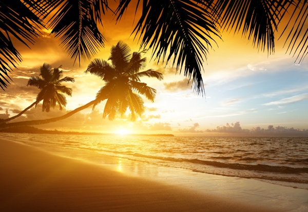 日出和日落海岸热带棕榈科海滩