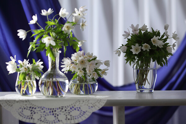白色花朵花瓶图片