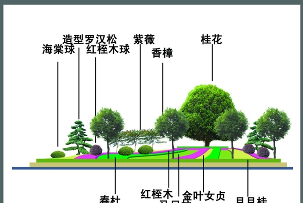 广场绿化效果图图片