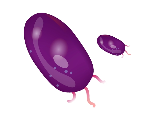 紫色的圆形细菌插画