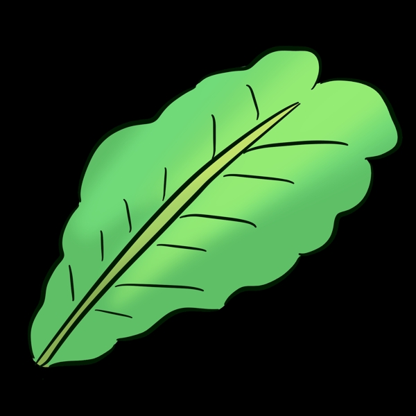 一片绿色叶子的青菜