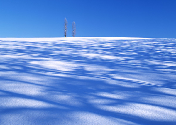 白色雪景摄影图片