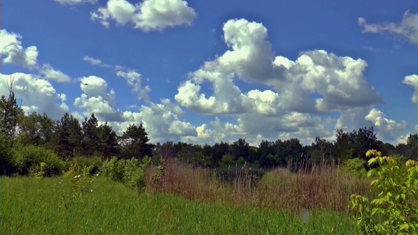 实拍大自然云朵视频