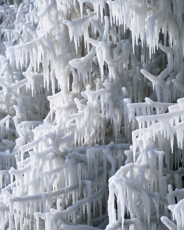 树枝上的冰冻特写雪景图片
