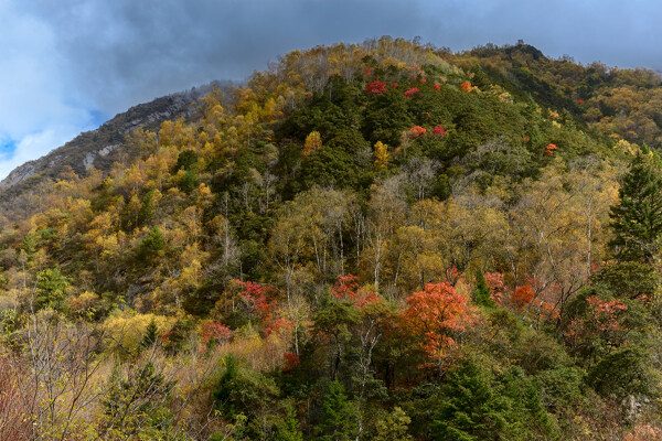 四川松坪沟风景