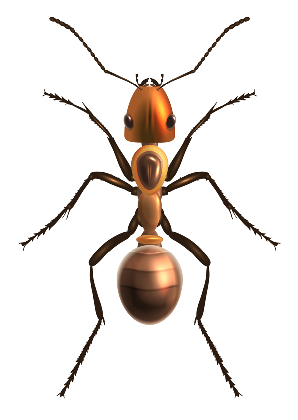 蚂蚁动物标志图标图形素材