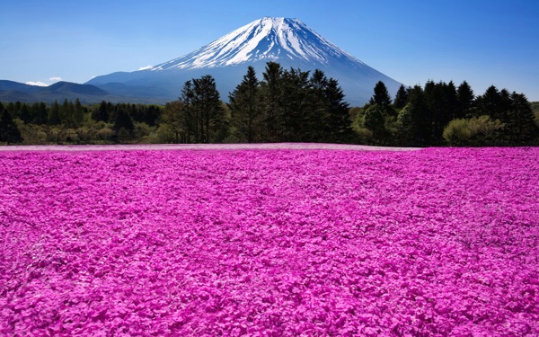 日本富士山风景