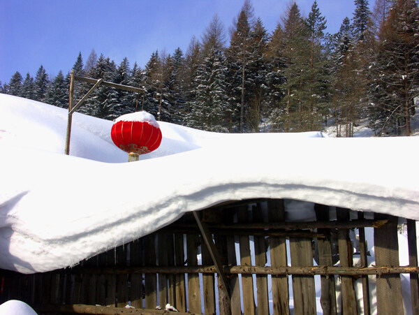 雪乡图片