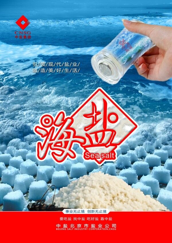 2014中盐产品海报设计提案