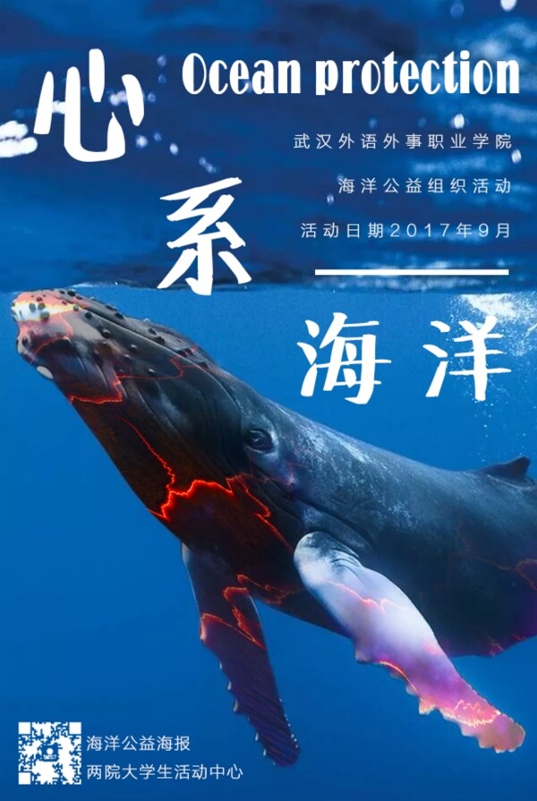 心系海洋保护海洋公益海报