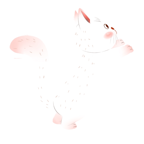 粉白色可爱动物小猫咪