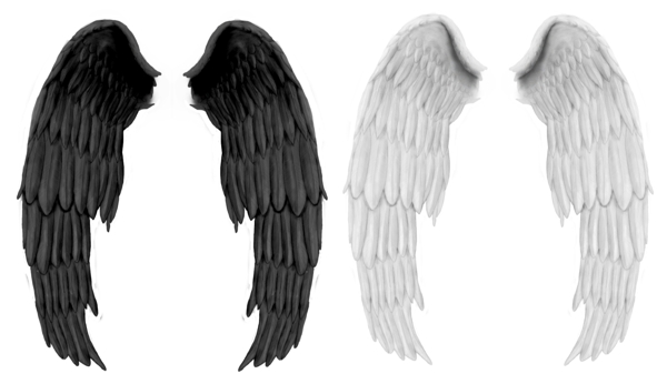 白翅膀和黑翅膀psd分层素材