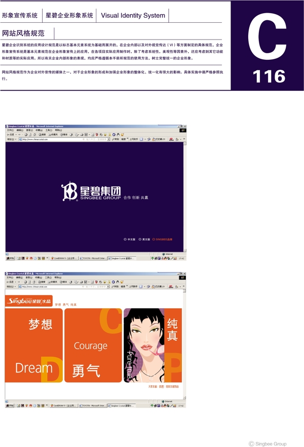 杭州星碧水晶VI矢量CDR文件VI设计VI宝典企业形象宣传系统规范