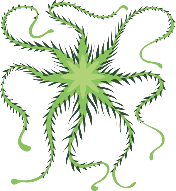 绿色的海星细菌插画