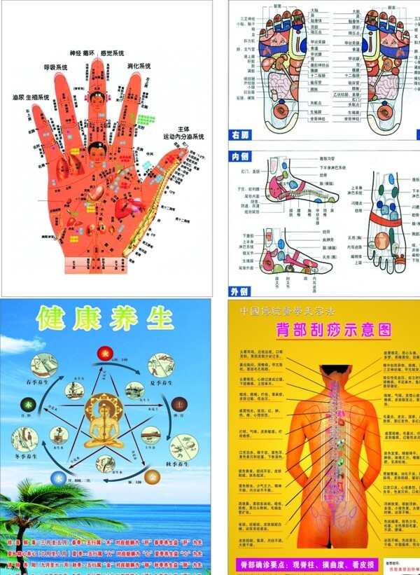 刮痧作品图片