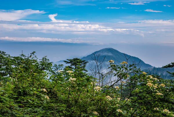 四川峨眉山风景