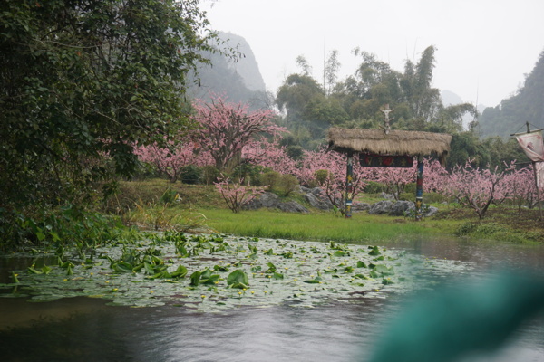 桃花源