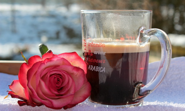 唯美玫瑰花与咖啡图片