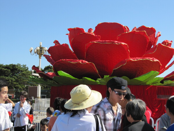 展览花卉图片