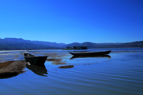 丽江拉市海景图片