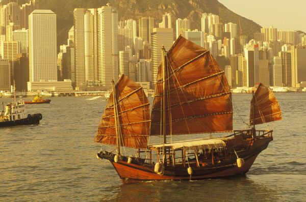 香港海面上的帆船图片