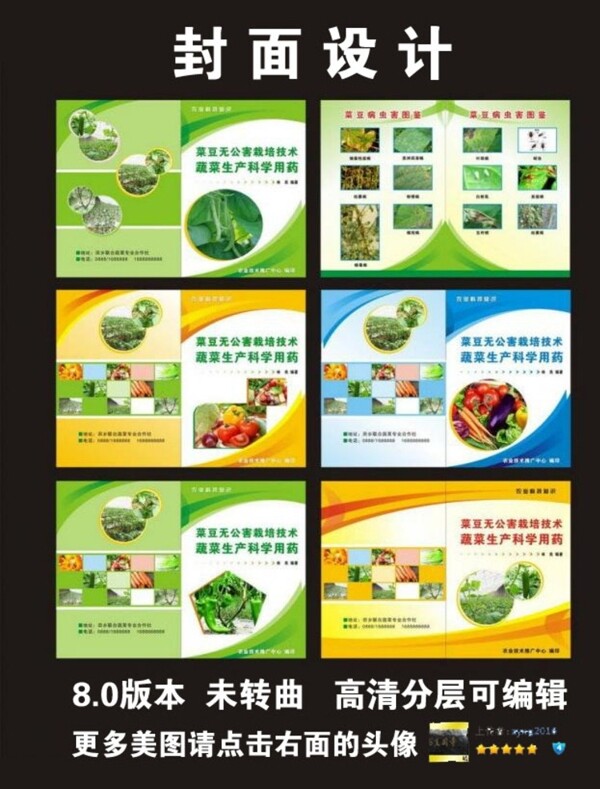 蔬菜宣传单画册