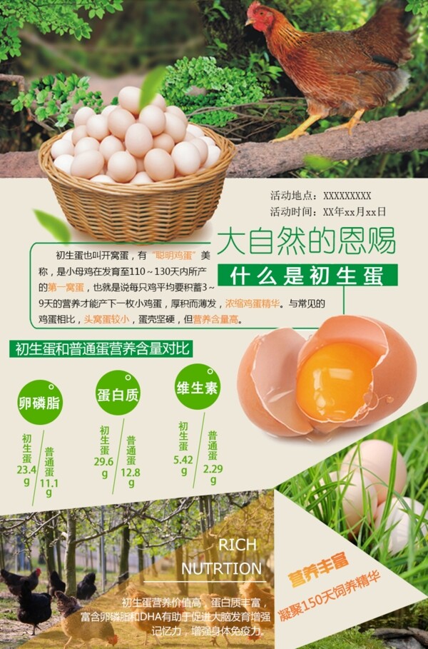 初生蛋土鸡蛋宣传广告