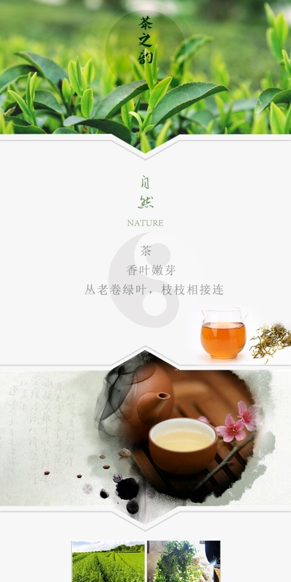 茶叶淘宝详情页