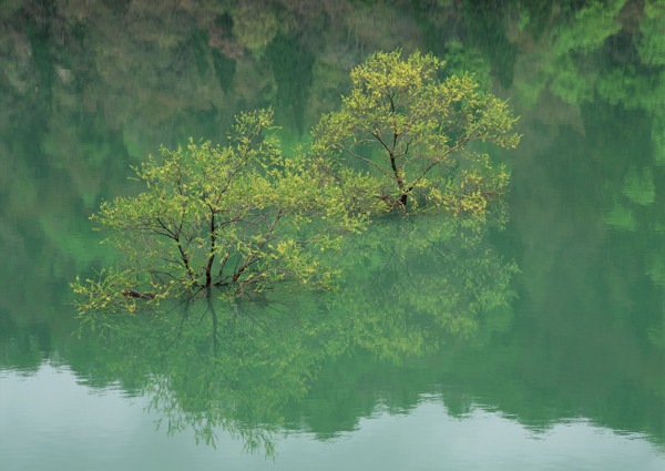 美丽湖泊风景图片