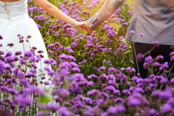 紫色花丛中牵手的情侣图片