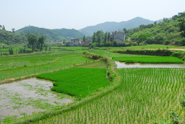 田园风光图片