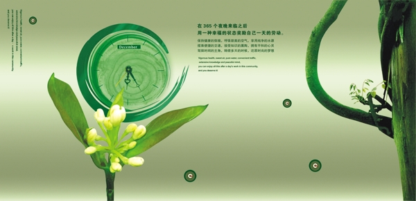 PSD绿色文化画册封面