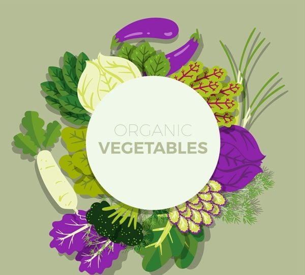 有机蔬菜框架图片