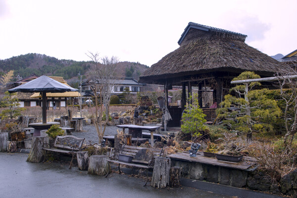 日本忍野八海风景