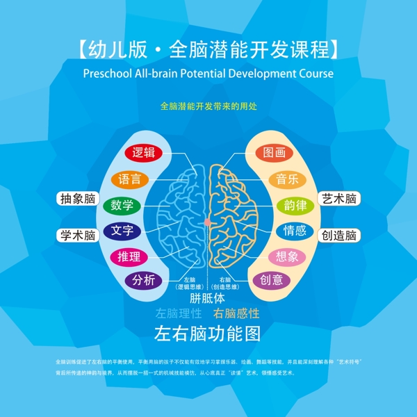 教育培训机构幼儿大脑思维开发展板画册2