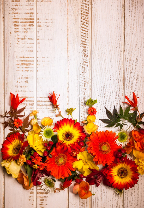 秋天美丽花朵木板背景图片