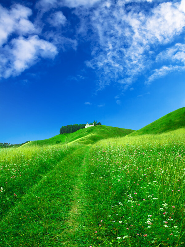 美丽草原蓝天风景图片