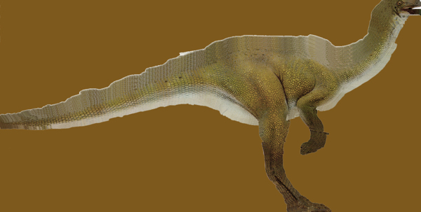 动物恐龙爬行类3d模型素材免费下载动物模型22